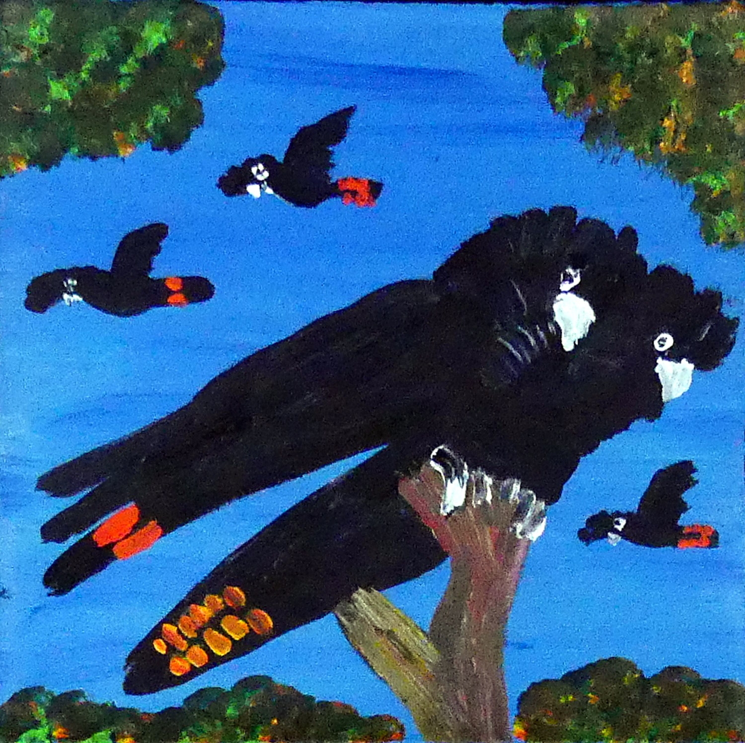 Black Cockatoos