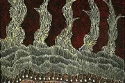 Waru- Fire Dreaming