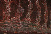 Waru- Fire Dreaming
